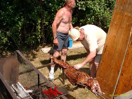2003.06.15tcvbsanglier6