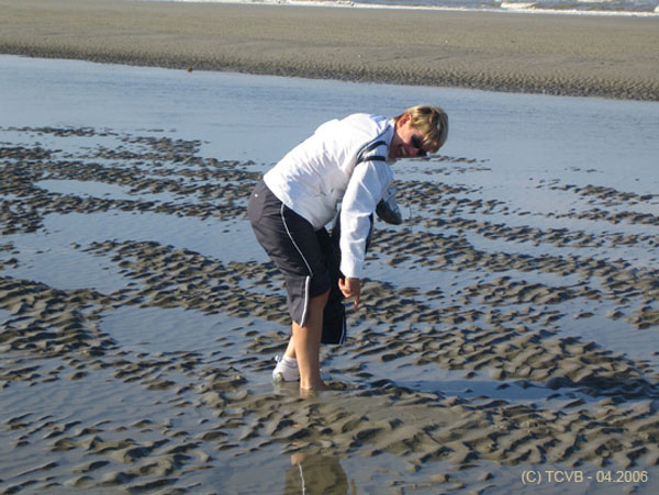 2005.09.24fft_clumed_touquet035a