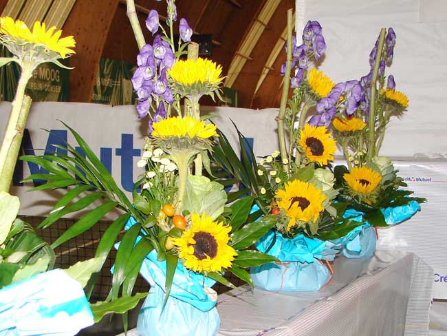 2008.09.14tcvb_tournoi095